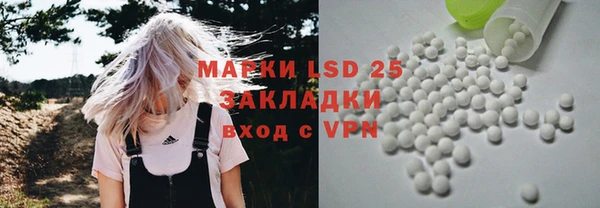хмурый Гусев