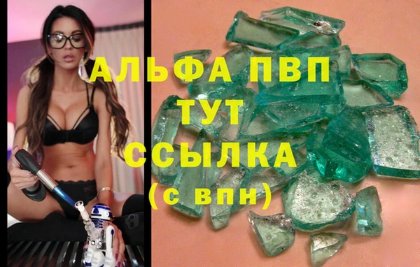 винт Гусиноозёрск