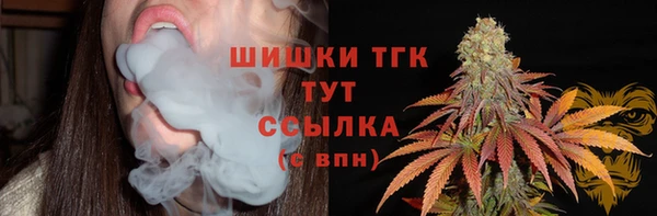 ECSTASY Горняк