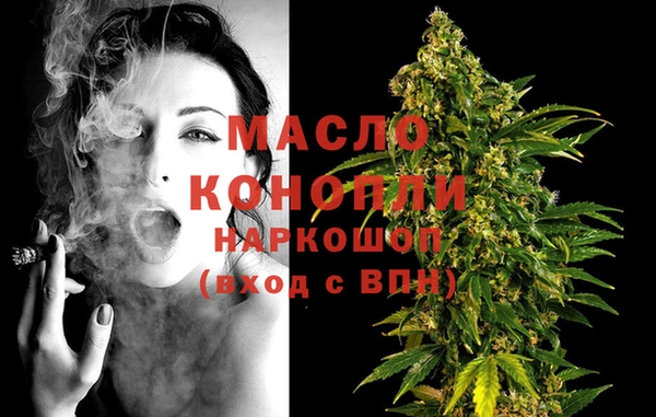 ECSTASY Горняк