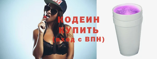 хмурый Гусев