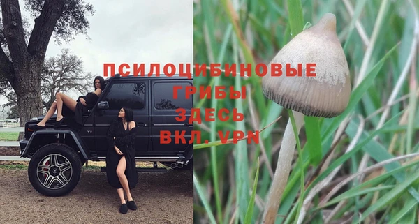 ECSTASY Горняк