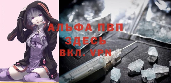 хмурый Гусев