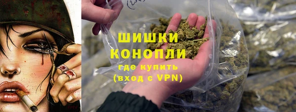 ECSTASY Горняк