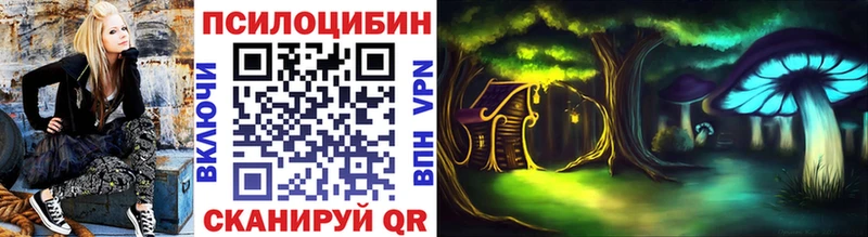 Псилоцибиновые грибы Magic Shrooms  Звенигород 