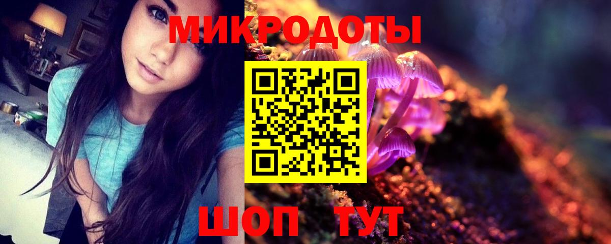 Галлюциногенные грибы мухоморы Звенигород